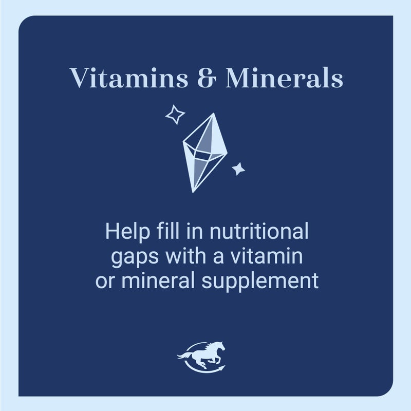 SmartEquine Poly Copper | Equine Horse Coat Supplements for Skin | Vitamins & Minerals Supplements for Horses Bones and Metabolism | 10 lb Bag - Image 4