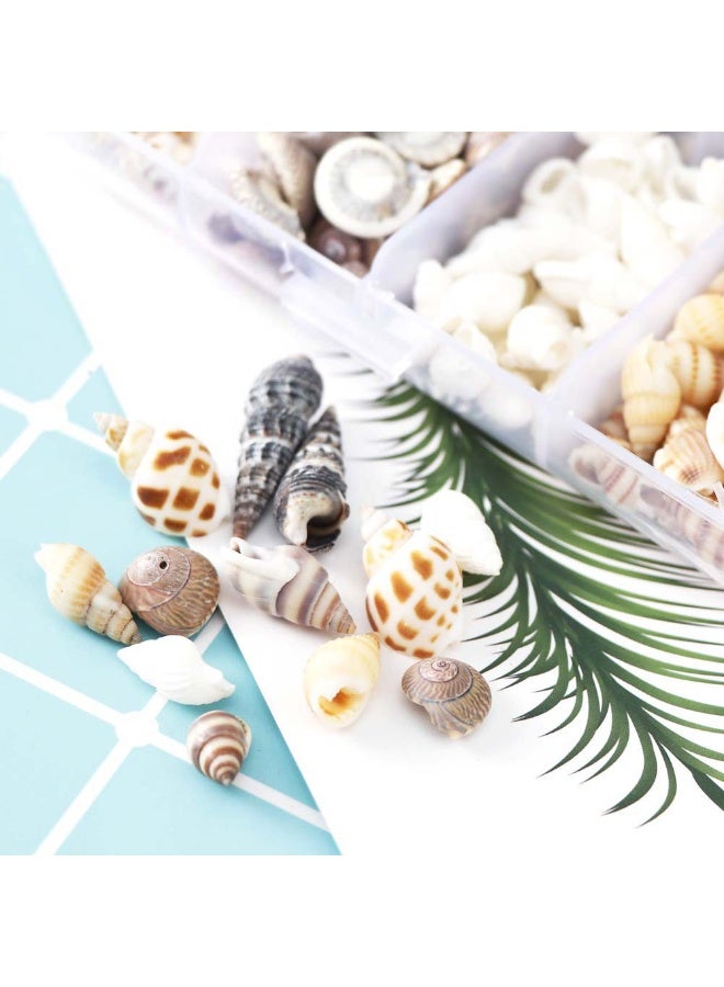 Winner 100PCS Open Back Natural Spiral Shell Beads, Spiral Conch Shells Charms, Beach Seashells Beads, Suitable For DIY Craft Jewelry Making ,Home Or Wedding Decoration - Image 5