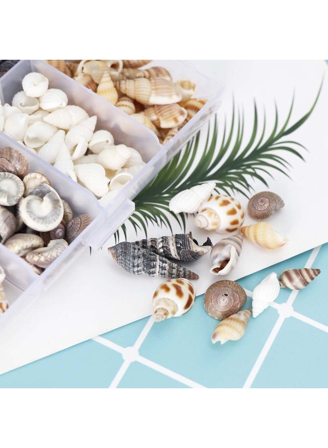 Winner 100PCS Open Back Natural Spiral Shell Beads, Spiral Conch Shells Charms, Beach Seashells Beads, Suitable For DIY Craft Jewelry Making ,Home Or Wedding Decoration - Image 4