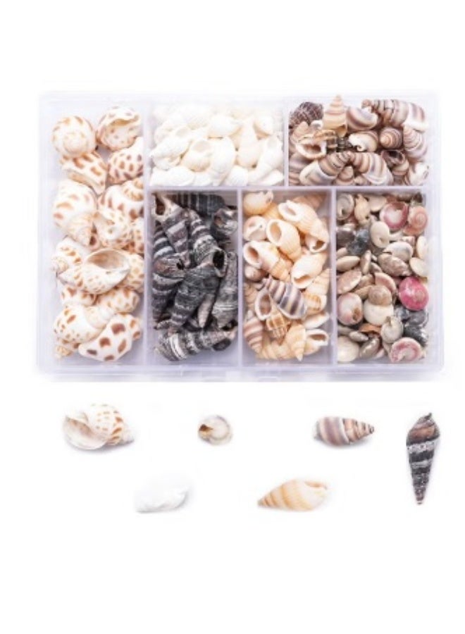 Winner 100PCS Open Back Natural Spiral Shell Beads, Spiral Conch Shells Charms, Beach Seashells Beads, Suitable For DIY Craft Jewelry Making ,Home Or Wedding Decoration - Image 1