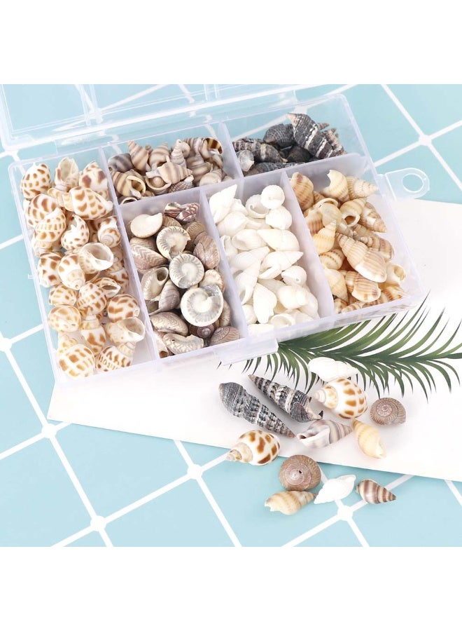 Winner 100PCS Open Back Natural Spiral Shell Beads, Spiral Conch Shells Charms, Beach Seashells Beads, Suitable For DIY Craft Jewelry Making ,Home Or Wedding Decoration - Image 3