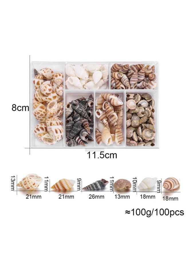 Winner 100PCS Open Back Natural Spiral Shell Beads, Spiral Conch Shells Charms, Beach Seashells Beads, Suitable For DIY Craft Jewelry Making ,Home Or Wedding Decoration - Image 2