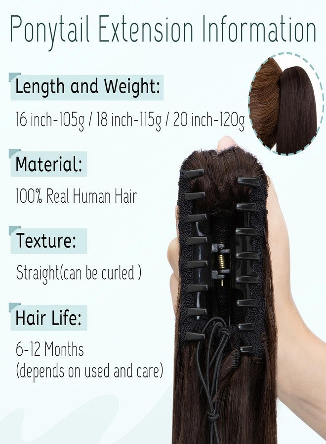 S-noilite Claw Clip Ponytail Extension Human Hair #2 Dark Brown Real Remy Human Hair Ponytail Extension 14inch Long Straight Hair Pony Tails Hair Extensions For Women 105Grams - Image 2