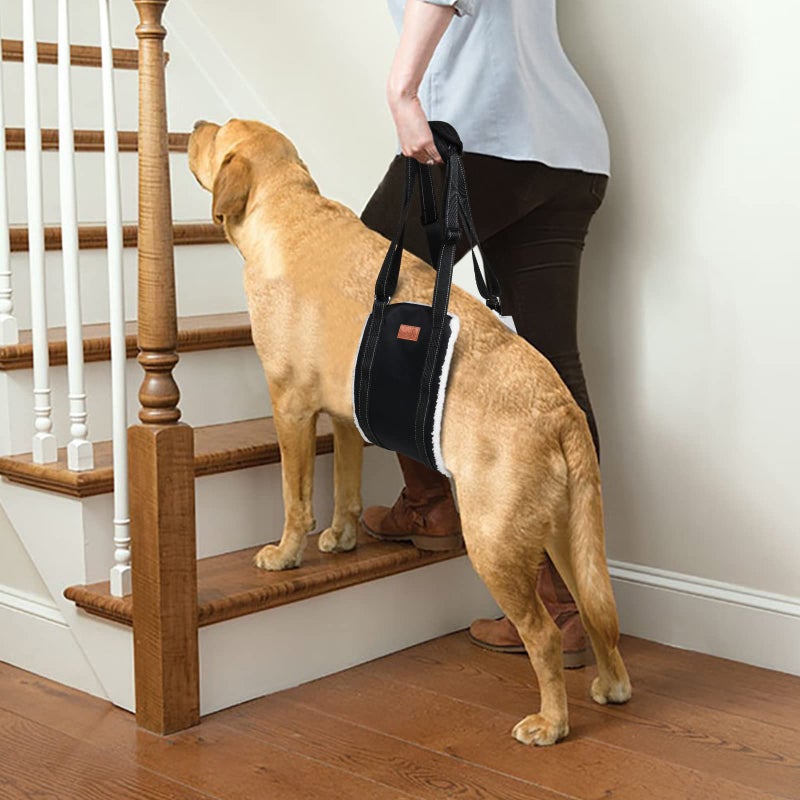 LOOBANI Portable Dog Sling for Back Legs, Hip Support Harness to Help Lift Dogs Rear for Canine Aid and Old K9 Cruciate Ligament Rehabilitation - Image 5