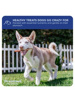 Downtown Pet Supply 12-inch Bully Sticks for Dogs, 1 LB - USA Sourced, No Hide Dog Chews Long Lasting and Non-Splintering - Nutrient-Rich, Single Ingredient and Odor Free Bully Sticks for Dogs - pzsku/Z37F344A6528CA591E183Z/45/_/1737031645/0d79559e-7577-4923-8b17-cbd7bf8ade20