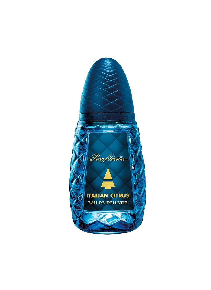 Pino Silvestre Pino Silvestre Italian Citrus Perfume for Men  Woody Aromatic Scent  Blended with Lemon Pine Apple Patchouli and Musk  for Calm Collective Gentlemen  42 oz EDT Spray 