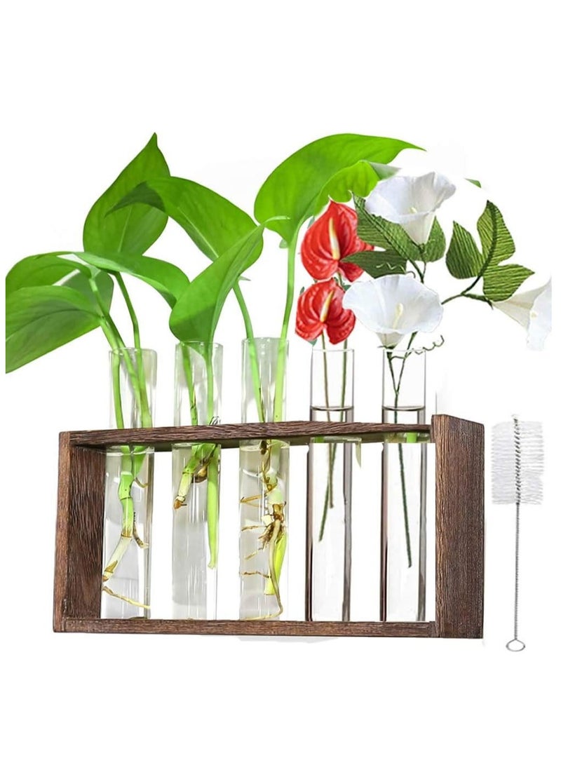 Generic Plants Propagation Stations, Wall Mounted Test Tube Vase with Wooden Stand, 5 Planter Glass Vase for Home and Office - Image 1