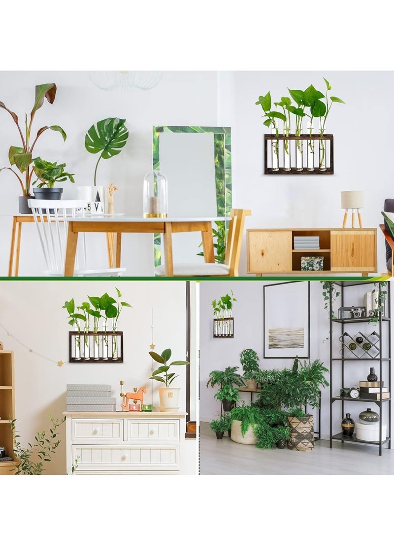 Generic Plants Propagation Stations, Wall Mounted Test Tube Vase with Wooden Stand, 5 Planter Glass Vase for Home and Office - Image 3