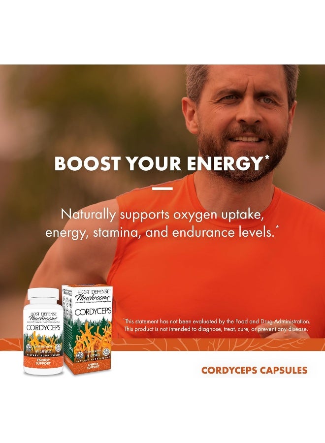 Host Defense Fungi Perfecti - Cordyceps Energy Support 60 Vegetarian Capsules - Image 3
