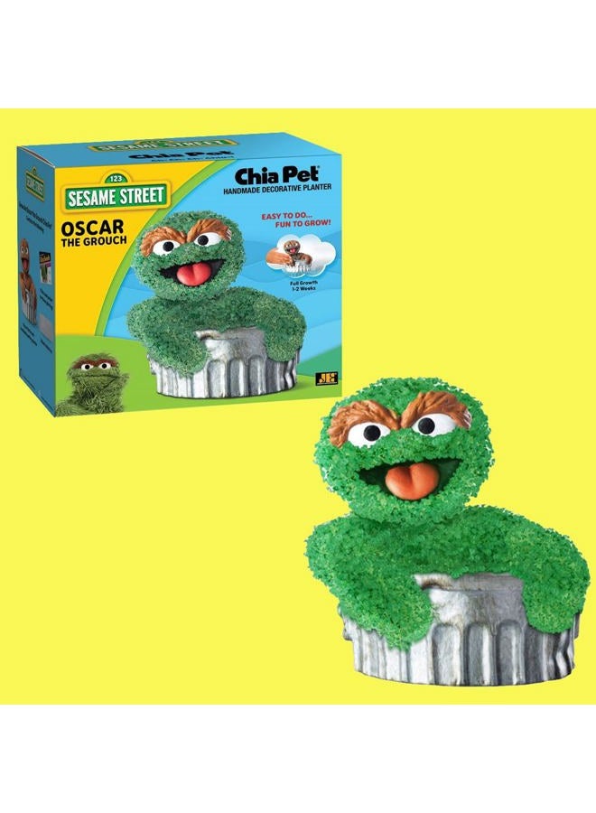 Chia Pet, Terracotta, Oscar The Grouch - Image 4