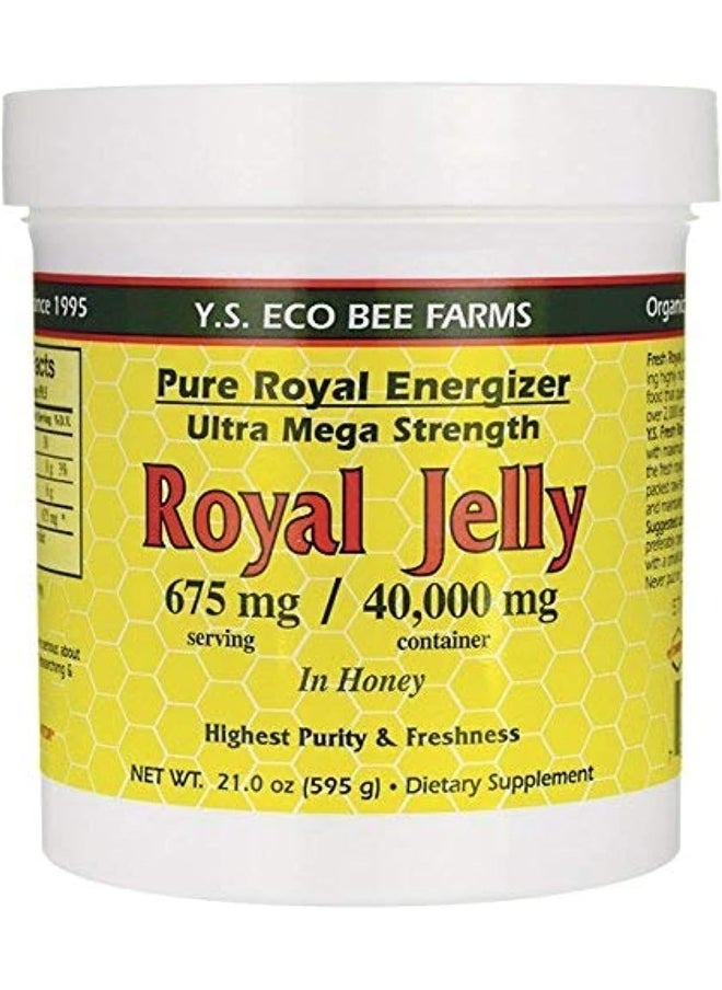 Y.S. Eco Bee Farms, Royal Jelly (675mg, 1.3lbs/595g) - pzsku/Z37F8C46EE5953C697EFBZ/45/_/1740377568/6a98b4af-3835-412e-b2cb-8e29b5d8c186