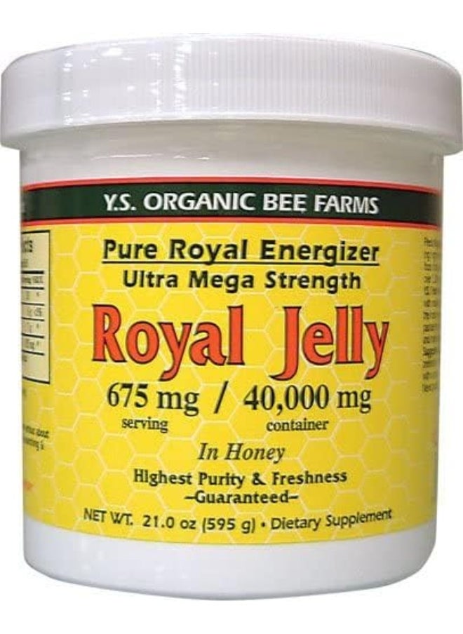 Y.S. Eco Bee Farms, Royal Jelly (675mg, 1.3lbs/595g) - pzsku/Z37F8C46EE5953C697EFBZ/45/_/1740377570/a8e83d20-cbdd-4330-9f4b-7dd0b85704a0