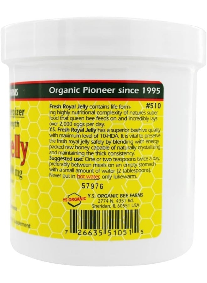 Y.S. Eco Bee Farms, Royal Jelly (675mg, 1.3lbs/595g) - pzsku/Z37F8C46EE5953C697EFBZ/45/_/1740377583/ebe83321-ea2b-48a9-8ab8-c2d39c7c091f