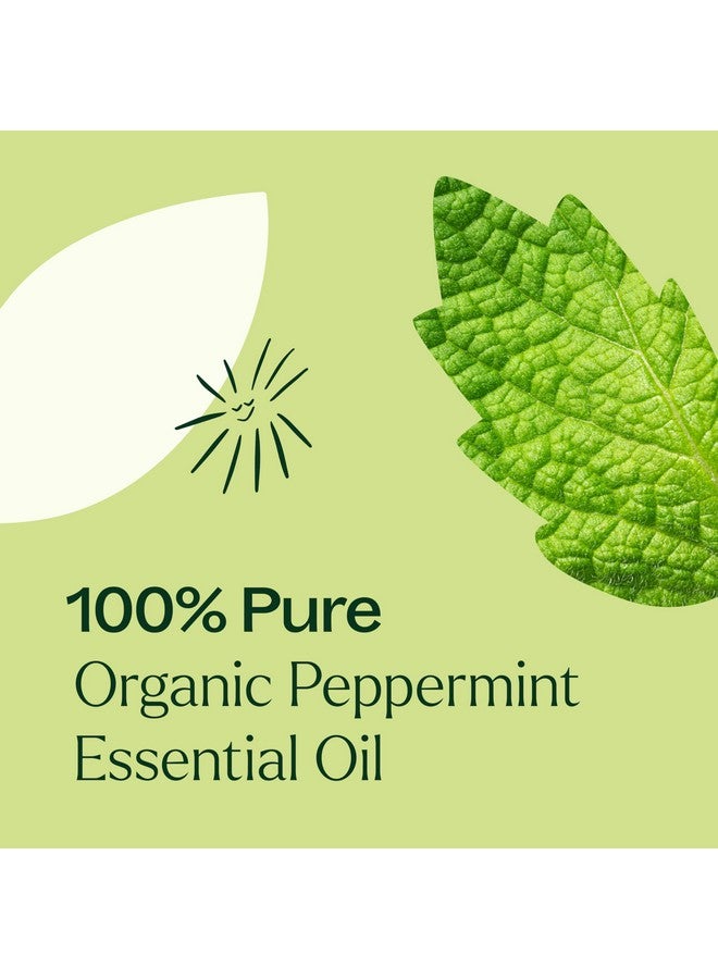 Plant Therapy Organic Peppermint Essential Oil 100% Pure, USDA Certified Organic, Undiluted, Natural Aromatherapy, for Diffusion, Skin, Hair, Therapeutic Grade 30 mL (1 oz) - Image 3