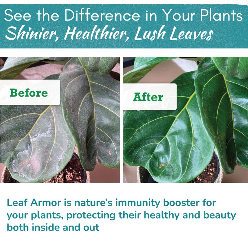HOUSEPLANT RESOURCE CENTER Leaf Armor Spray for Houseplants â€“ Protects Against Fungal Leaf Spots, Bacteria, Pathogens & Yellowing | Natural & Non-Toxic Formula | Ready-to-Use | Made in USA â€“ 8 oz - Image 3
