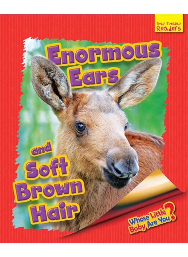 Whose Little Baby Are You? Enormous Ears and Soft Brown Hair 
