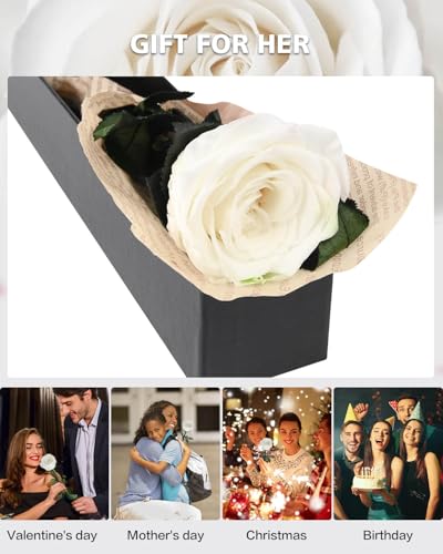 YAMPP Preserved Flowers Gifts for Women: Mothers Day Birthday Christmas Anniversary Wedding Gift for Mom Girlfriend Wife Grandma Forever Rose for Her White Single Rose - Image 2