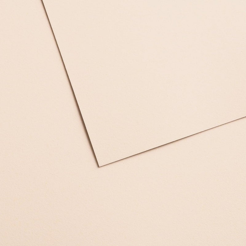 Canson MiTeintes Velvet Drawing Paper Sheet Powder Beige 260lb430g 1 Sheet 1969x256 inch 1 Count