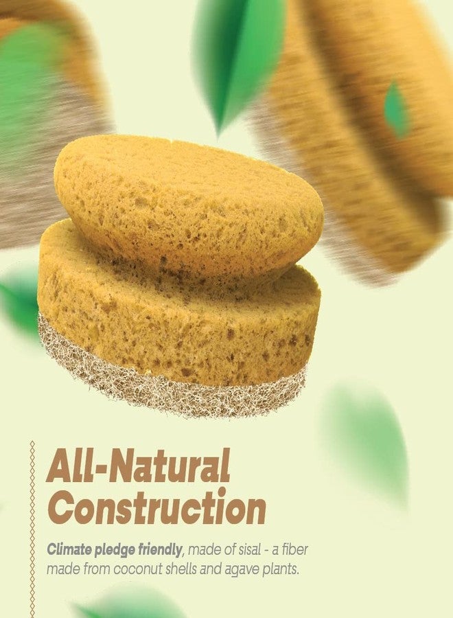 SCRUBIT Natural Scouring Pads, Eco Friendly Scrubbing Sponges for Kitchen Cleaning and Dishes, Non-Scratch Dish Scrubber with Easy-Grip Sponge Handle - Biodegradable - 2 Pack - Image 5