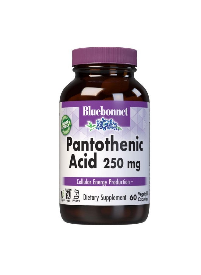 Bluebonnet Pantothenic Acid 250 mg Vegetable Capsules, 60 Count - Image 1