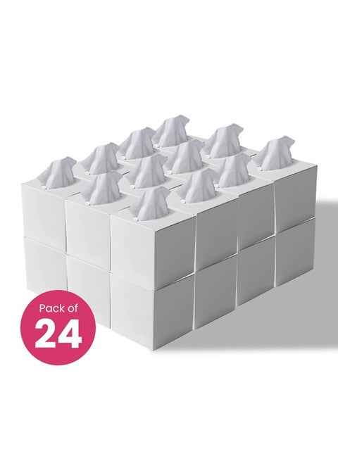 2 Ply Facial Tissue 2400 Sheets in Cube Boxes - Contains 24 Box of 100 Premium Quality Soft and Absorbent Tissues