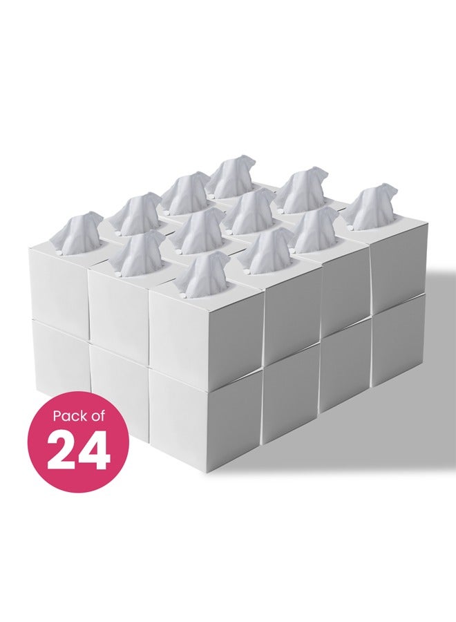 BRANDSFINITY 2 Ply Facial Tissue 2400 Sheets in Cube Boxes - Contains 24 Box of 100 Premium Quality Soft and Absorbent Tissues - Image 1