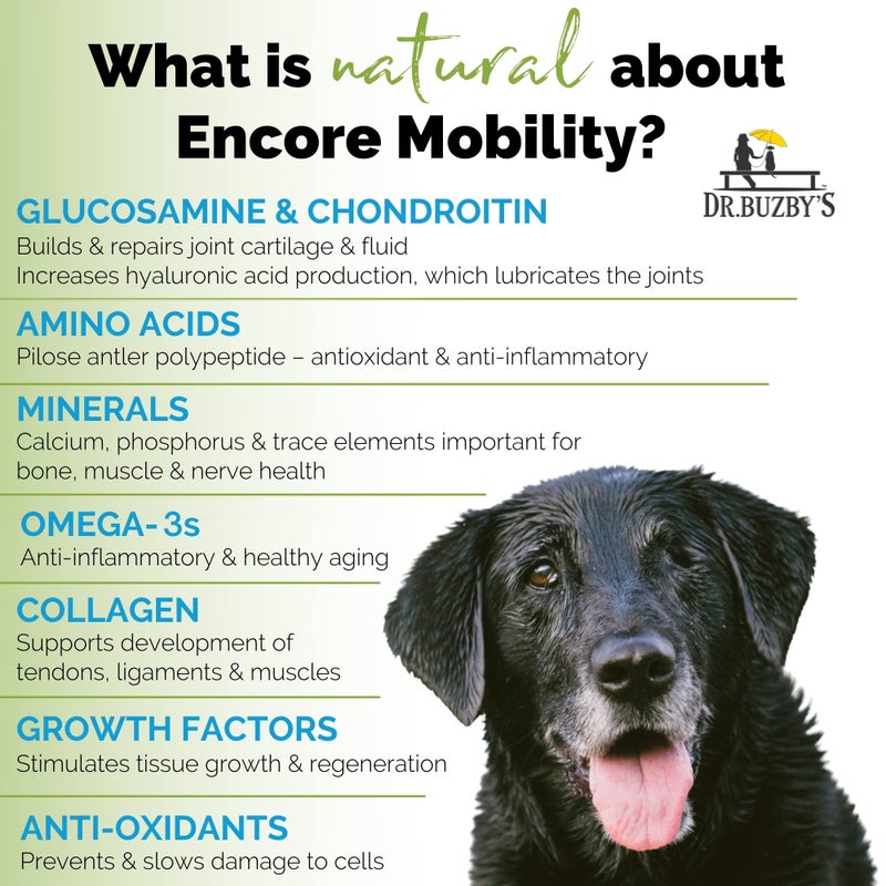 Dr. Buzby's Dr. Buzbyâ€™s Encore Mobility Hip & Joint Supplement for Senior Dogs, 90 Chewable Tablets, Natural New Zealand Deer Velvet and Green Lipped Mussel, Pet Pain Relief - Image 4