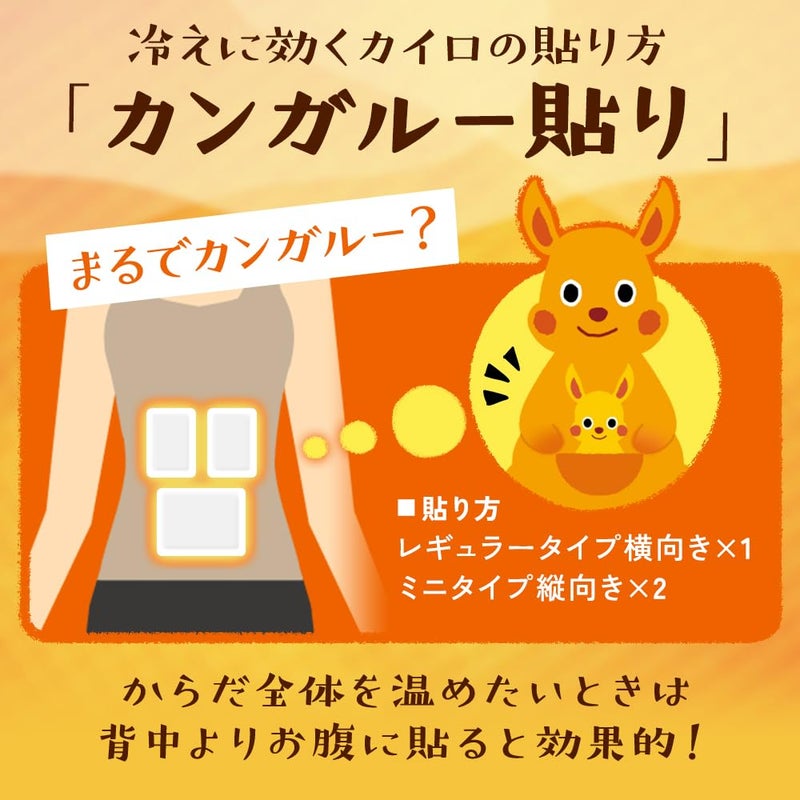 IRIS لاصقات تدفئة الجسم من هوكايرو، 30 قطعة (كبيرة) - Image 3