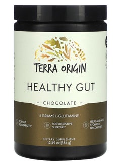 Terra Origin Healthy Gut Chocolate 12.49 oz (354 g) 
