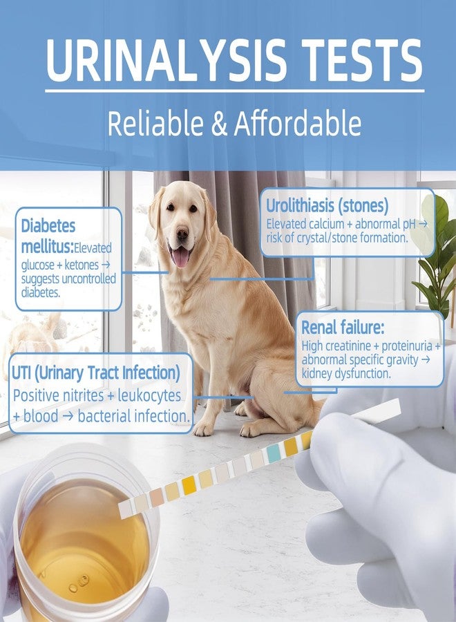 Antmoilios 14-Parameter Dog&Cat UTI & Blood Test Strips, 100ct Detect Ketone Urine Protein Glucose Bladder Full Panel Urinalysis Urinary Tract Infection Test Kits Home Testing, for Vet Pet UTI Test - Image 5
