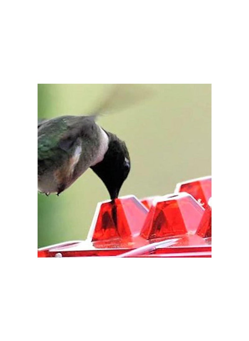 Generic - Keilini Keilani Hummingbird Feeder with Perch and Built-in Ant Moat,Mary's Sherum Hummingbird Feeder,30 Feeder Ports,Easy to Clean (2 Pack) - Image 1