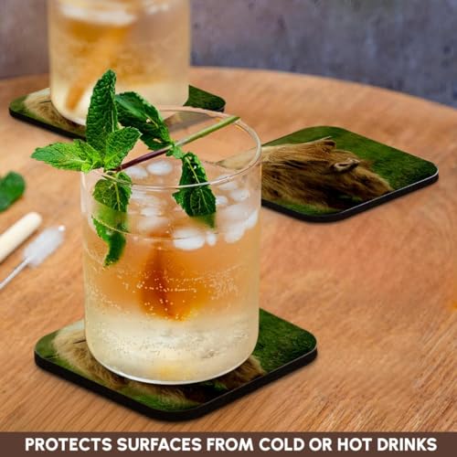 3dRose Scotland, Highland Cow, Farm animal-EU36 CMI0128-Cindy Miller Hopkins-Soft Coasters, Set of 8 (CST_82799_2) - Image 3