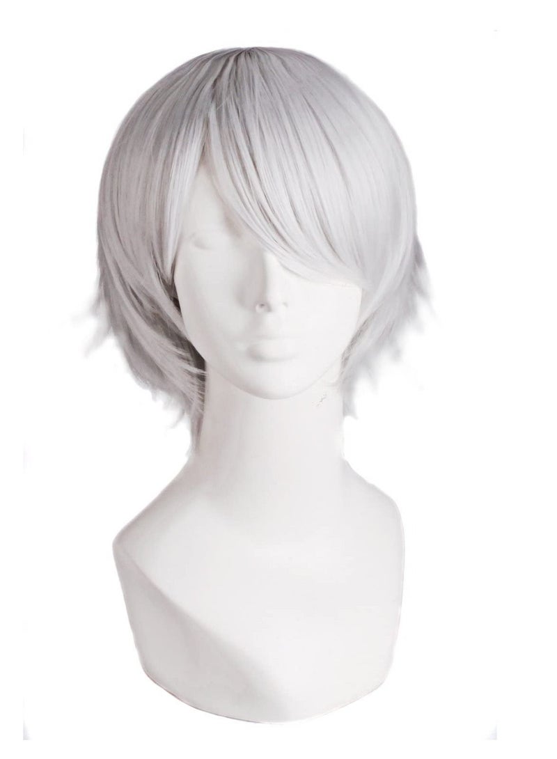 إستيل شعر مستعار تأثيري قصير مستقيم للرجال شعر مستعار رمادي فضي - Image 1