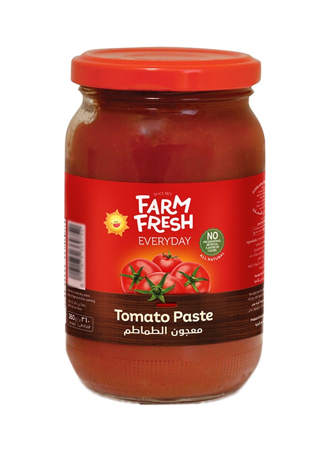 Farm Fresh Tomato Paste In Jar 360g 