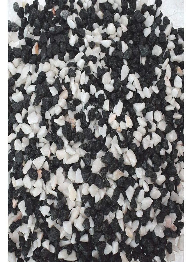 Samariya Natural Black & White Marble Chips Decorative Stones for Aquarium Home Garden Indoor & Outdoor Decoration ETC. (3 Kg) - Image 3