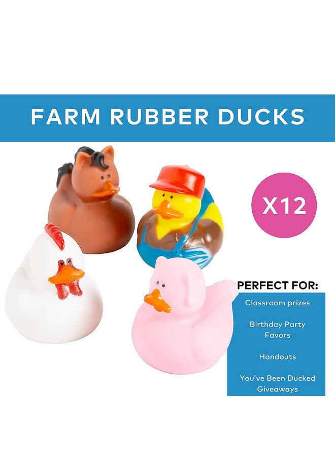 Fun Express Farm Rubber Ducks, Duckies, 12 Pieces, Birthday Parties, Treasure Chest Supplies - Image 2