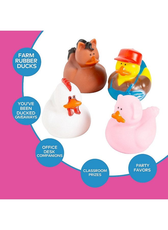 Fun Express Farm Rubber Ducks, Duckies, 12 Pieces, Birthday Parties, Treasure Chest Supplies - Image 3