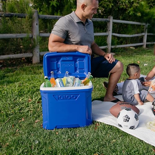 Igloo 12-16 Qt Profile Hardsided Insulated Lunch Cooler, 16 Qt Blue - Image 2