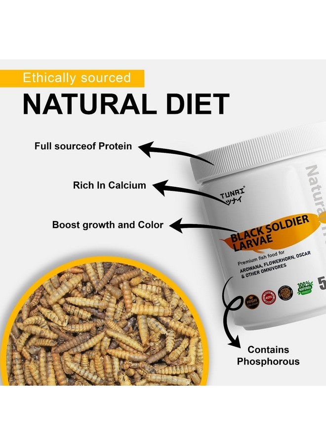 يرقات ذبابة الجندي الأسود Bsfl | 50 جرام | 60 ضعف الكالسيوم من ديدان الوجبة، طعام أسماك غني بالبروتين بنسبة 40% لسمكة أوسكار، والأروانا، والزهرة، والسلحفاة البالغة، والسلحفاة، 1 قطعة - Image 3
