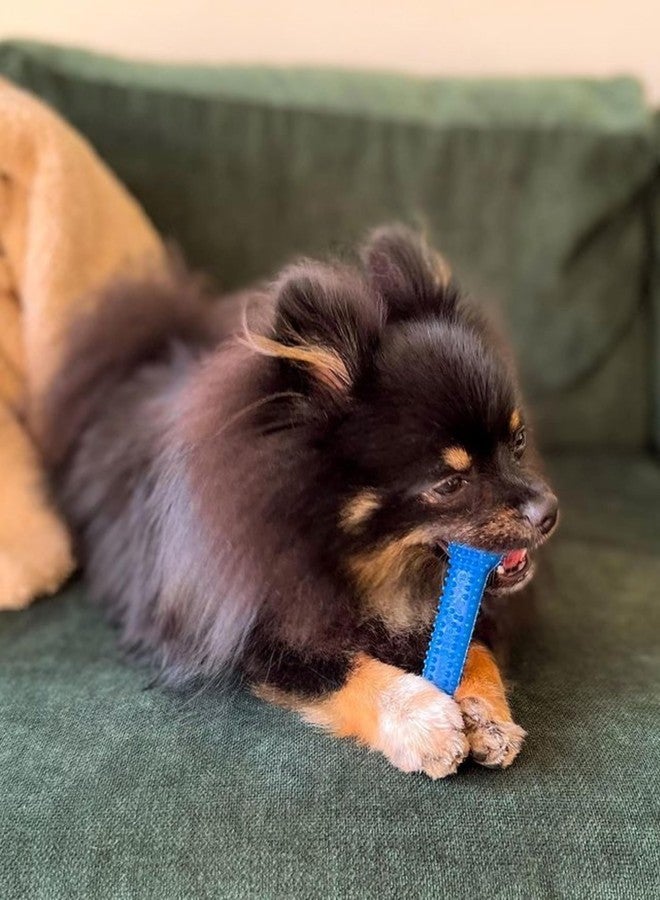 نيلابون عظمة مضغ مرنة من نايلابون غومابون، مناسبة للكلاب التي تمضغ بشكل معتدل، بنكهة الدجاج، صغيرة - حتى وزن 25 رطلاً، قطعة واحدة - Image 2