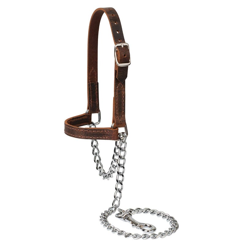 Weaver Livestock Weaver Leather Livestock Water Buffalo Leather Goat Halter, Large, Assorted Colors (80100-60-64) - Image 5