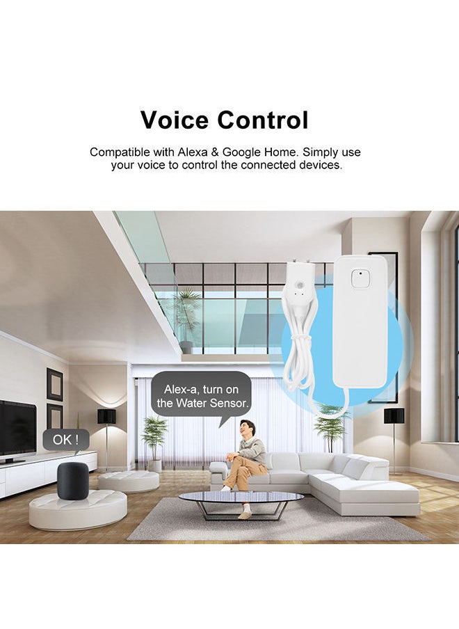 NIBEMINENT - WIFI Water Leak Sensor Intrusion Detector With Alexa Google Home And Built-In Rechargeable Battery White - Image 1