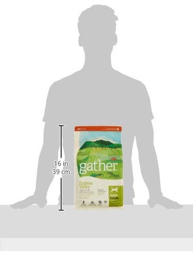 GATHER Endless Valley Vegan Dry Dog Food with Grains, Healthy Plant-Based Kibble Made with Organic & Non-GMO Ingredients, Chicken-Free for Sensitive Stomachs, for Adults & Seniors, 6 lb Bag - Image 2