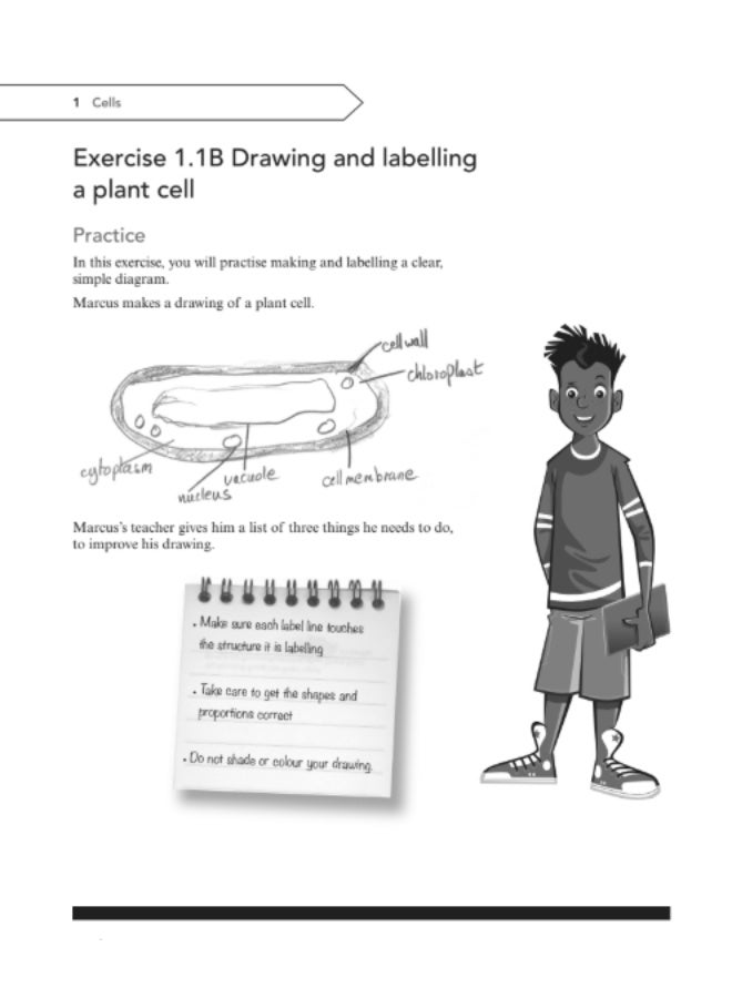 Cambridge Lower Secondary Collection - Secondary_Science_ second edition_ level 7_Workbook - Image 5