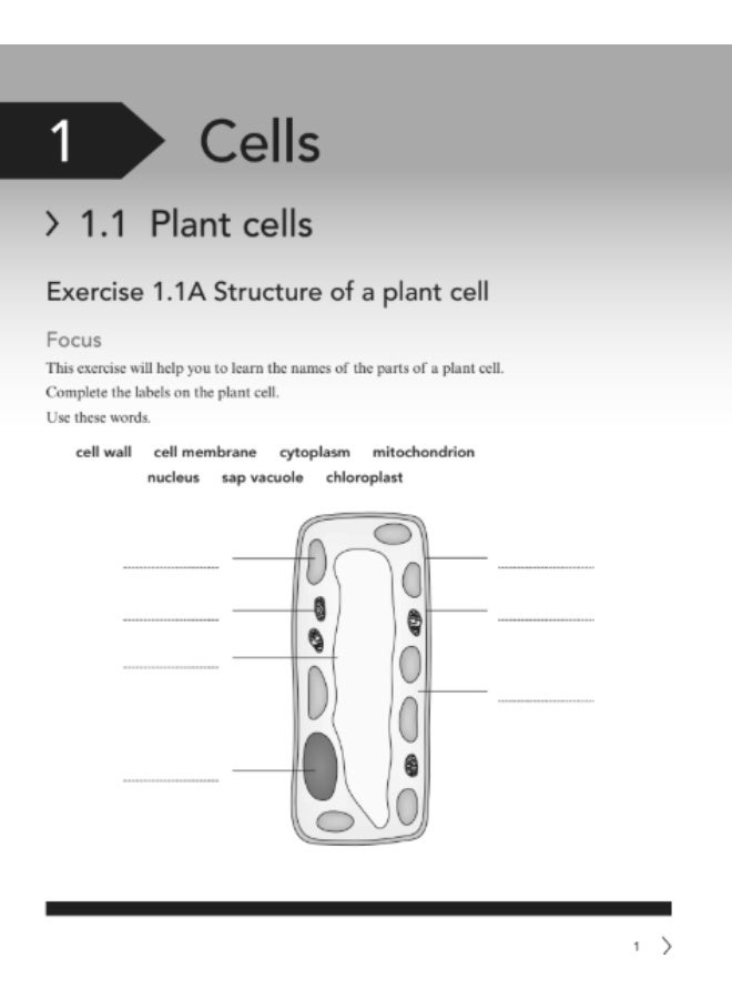 Cambridge Lower Secondary Collection - Secondary_Science_ second edition_ level 7_Workbook - Image 4