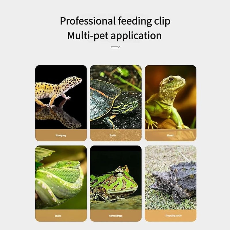 Silver Reptile Feeding Tongs Set Straight And Curved Long Tweezers With Non Slip Tip - Image 4