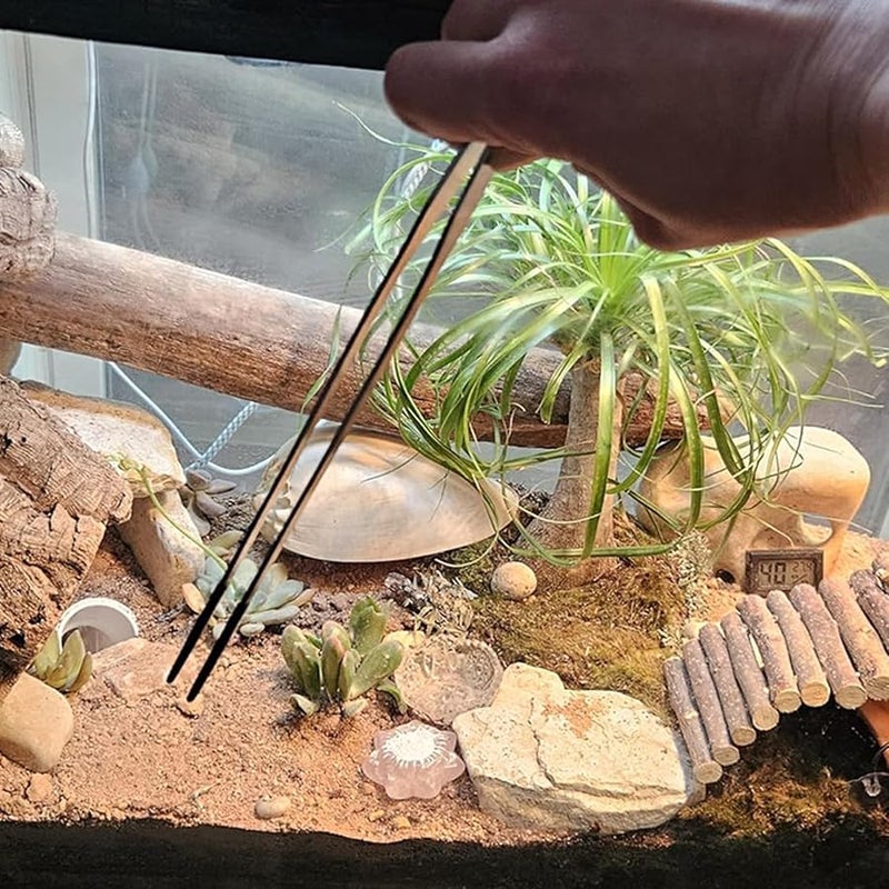 Silver Reptile Feeding Tongs Set Straight And Curved Long Tweezers With Non Slip Tip - Image 3