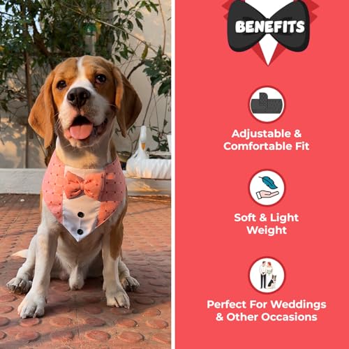 Pawsindia Tuxedo Bandana for Dogs, Crafted from Premium Fabric to Ensuring Proper Air Circulation and Adding a Touch of Trendy Style (Black, Cat Size) - Image 2