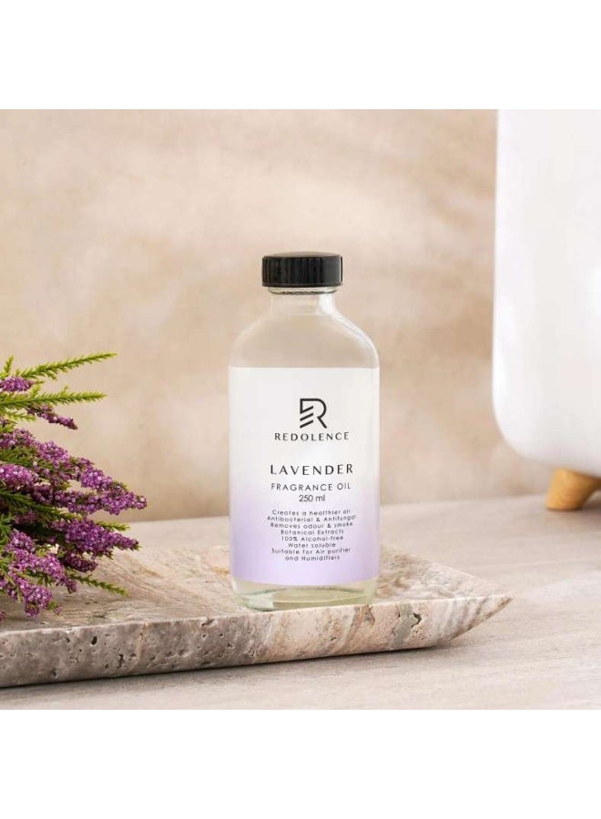 Pan Home Redolence Lavender Fragrance Oil 250ml - Transparent - Image 1