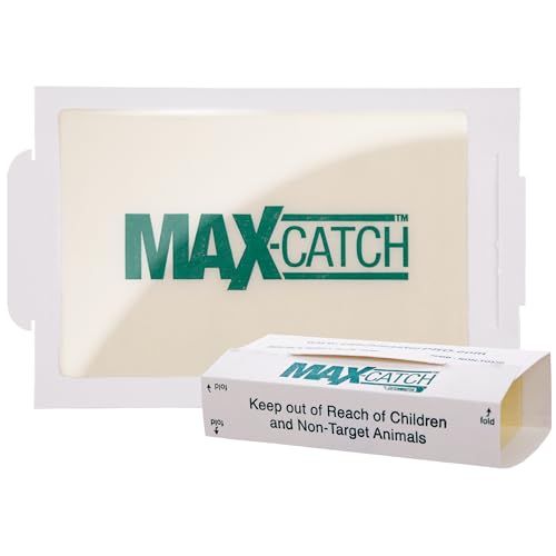 Catchmaster Max-Catch Mouse & Insect Glue Trap 72PK, Mouse Traps Indoor for Home, Sticky Pest Control Adhesive Tray for Catching Bugs, Rats & Rodents, Bulk Unscented Glue Boards - Image 1